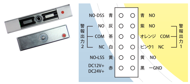 haisen019